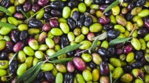Is olive a fruit or vegetable?